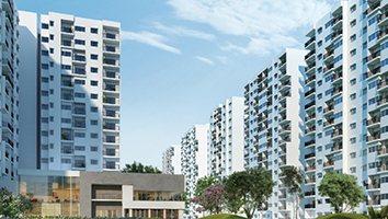 Prestige City Mayflower